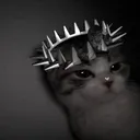 n0t_mnkmancj