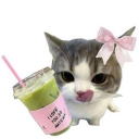 avatar A nobody nobody but u