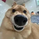 rpex.error