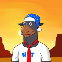 NFTStainz avatar