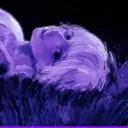 frostydark05