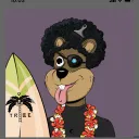 quokkalover720455