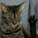 avatar (´ . .̫ . `)