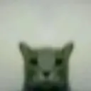 y3n._8