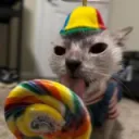 mrfrog_2810