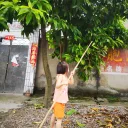 fengming0251