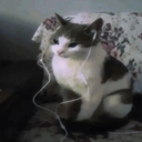 mikizone