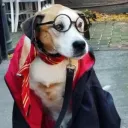 redfernsecurity
