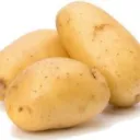 potato98765