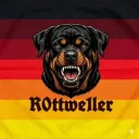 res_rotti