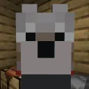 dan8slav