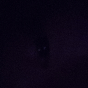 tmyyyyyyyyyy's avatar