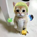 trubibubi