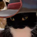 niigeel avatar