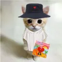 yan_30