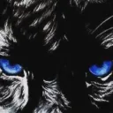 batmanyouready