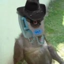 thesaltedman