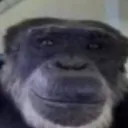 mutantpoopsucker avatar