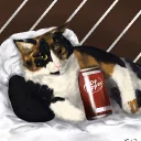 boredpersob avatar