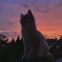 jimmyjagz240_