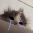 avatar 울멍고먐미