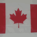 avatar Sense Carterr