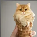 Аватар artyomcat