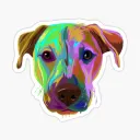 itsdoggie6297