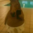 fores001