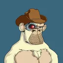 apemaster9442