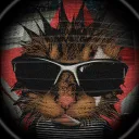 wifi5957