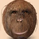 yokirxto
