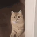 vixxyold
