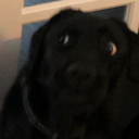 RawToast