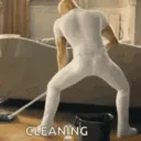 senor._.clean