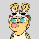 drc_turtle