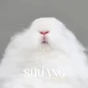 shuang2660