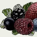 berrybit6583