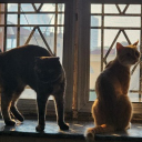 avatar .hydrophobicfish