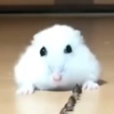 avatar 🌹𝕬𝖗𝖙𝖚𝖗𝖃𝖗𝖈🌹