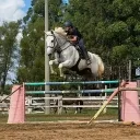 frota_pvd