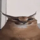nobokik