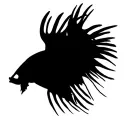 bettabattlersclub