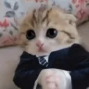 mayberachelle