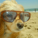 avatar meri !!!!!!!!!