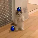 ngangelng