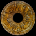 perfectice902#0692's avatar