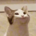 he1zen_