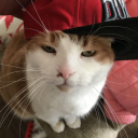 avatar low sens abuser