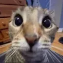 unaity_xd avatar